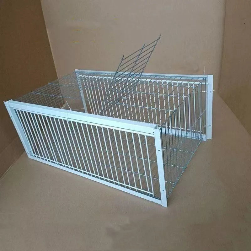 PigeonSafe Foldable Humane Cage