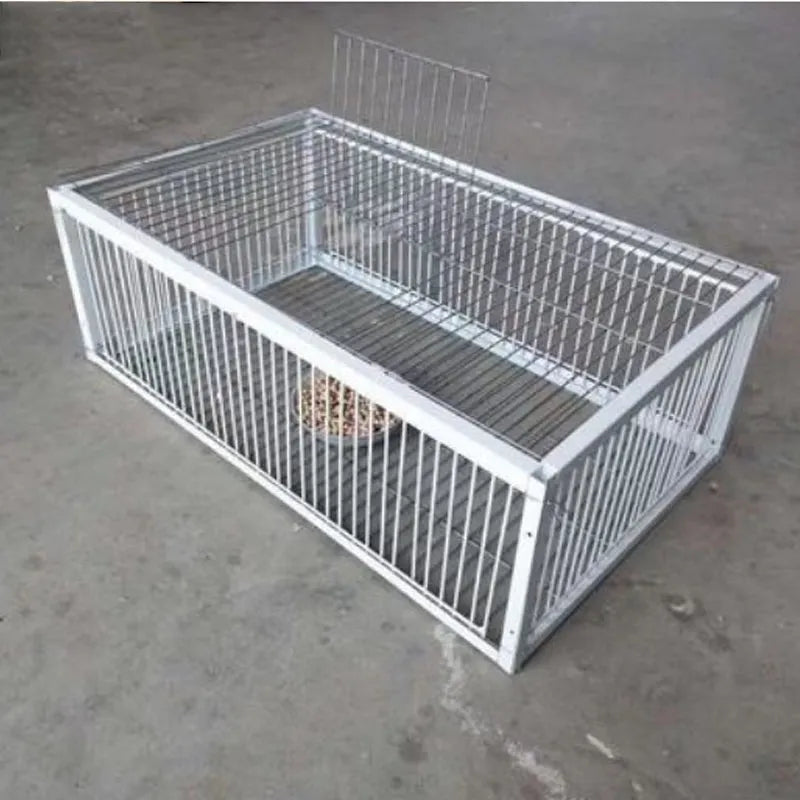 PigeonSafe Foldable Humane Cage