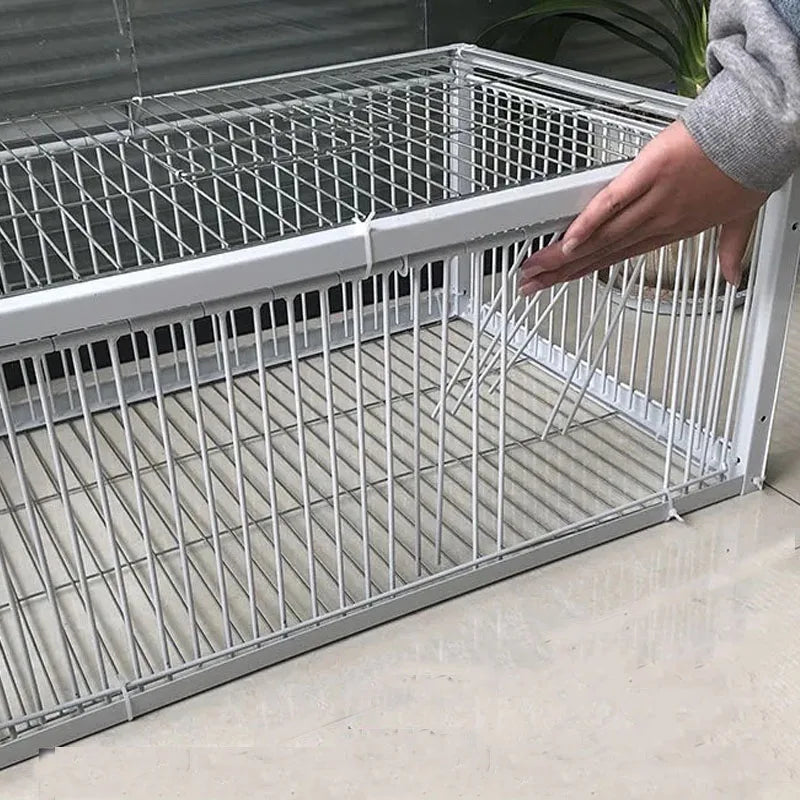 PigeonSafe Foldable Humane Cage