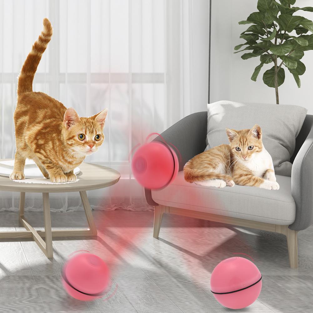 Magic Pet Play Ball