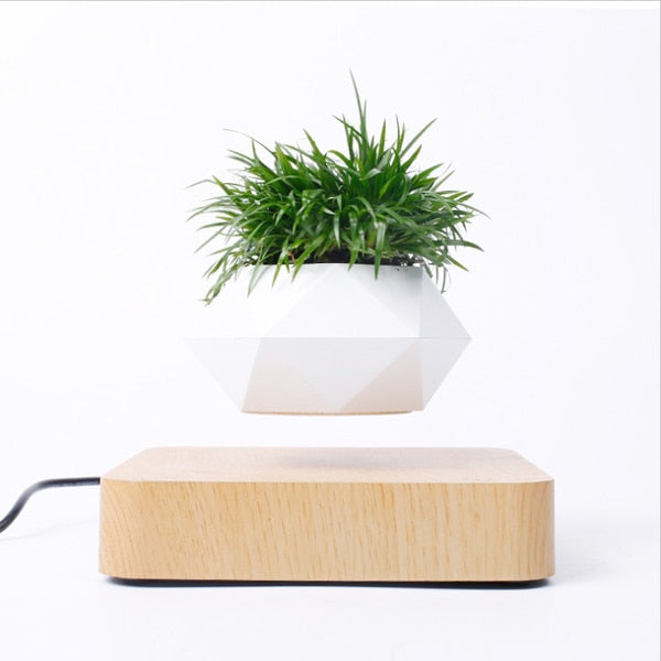 Levitating Plant Pot