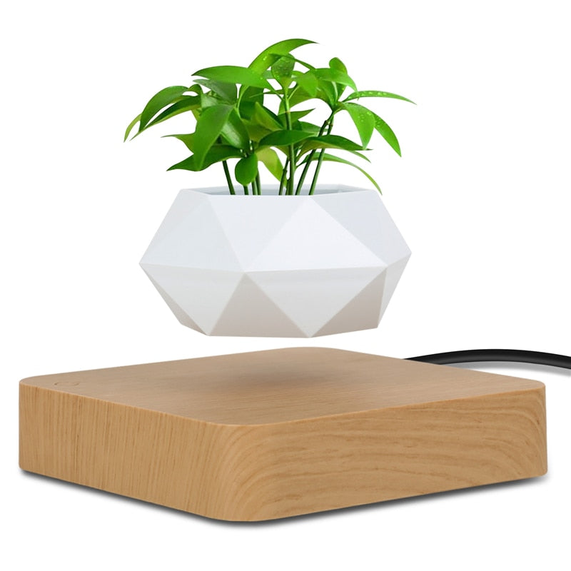 Levitating Plant Pot