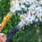 Bubble Gatling Gun
